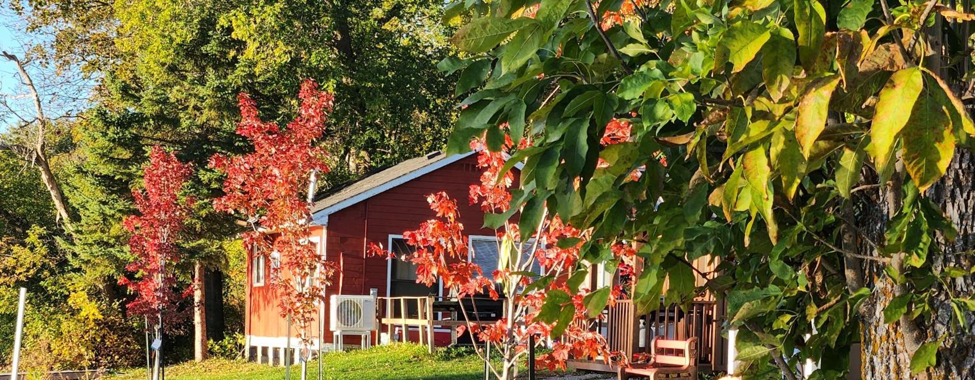 Trent River Cottages Hastings Екстер'єр фото